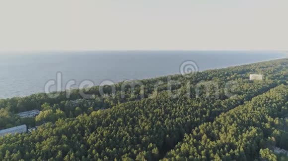 尤玛拉森林和海上无人机飞行拉脱维亚空中无人机户外公园道路海洋自然视频的预览图