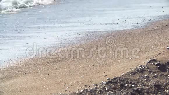 女人美丽的黝黑的腿在沙滩上散步海上行走的女孩视频的预览图