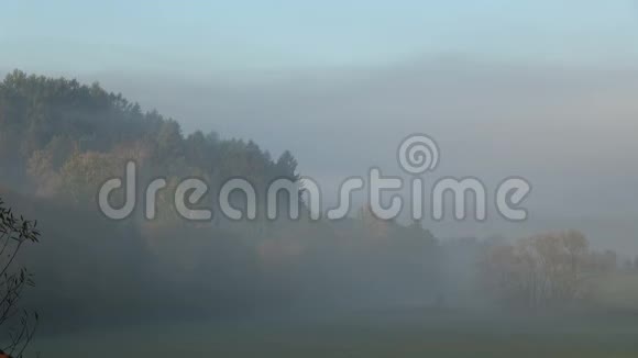在森林附近的草地上升起的薄雾的时间流逝视频的预览图