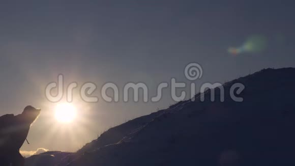 游客在美丽的天空的背景下爬到山顶登山者在明亮的阳光下爬上雪山男人视频的预览图