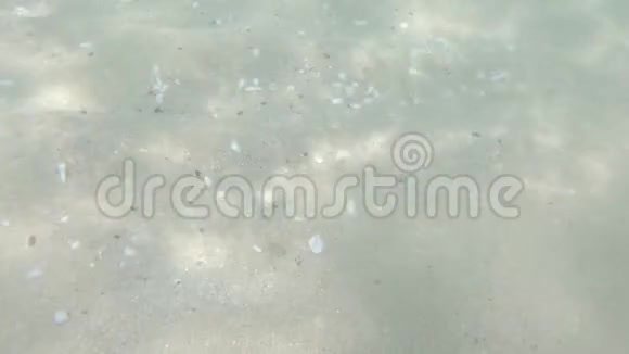 阳光和海浪在水下视频的预览图