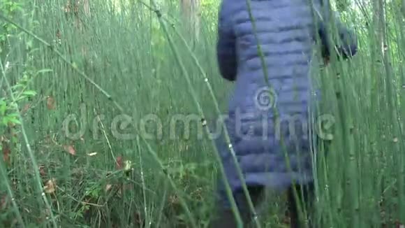 森林中的马尾丛那个女孩正在穿过灌丛视频的预览图