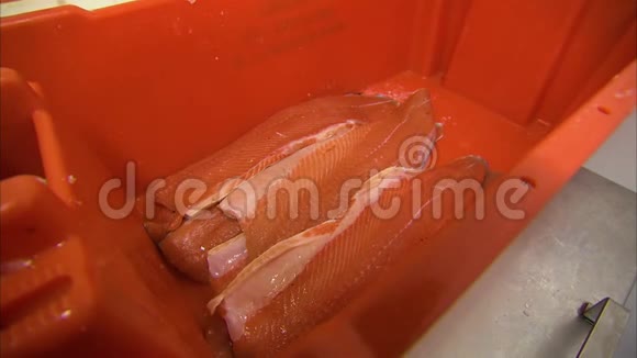 加工鲑鱼肉视频的预览图