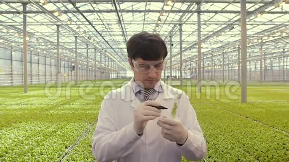 男性化学实验室工作人员进行植物样本测试视频的预览图