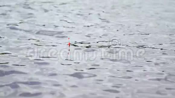 红色的小花在河的波浪上摇摆视频的预览图