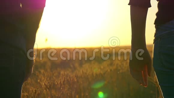 一对夫妇手牵着手在美丽的日落上方的金色麦田上慢动作视频的预览图