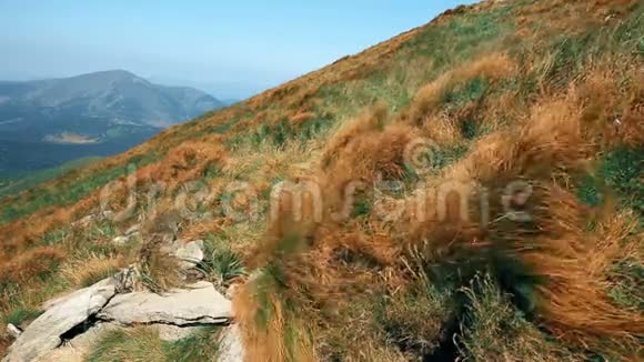 落基山脉风景如画的全景摇曳的草地和岩石视频的预览图