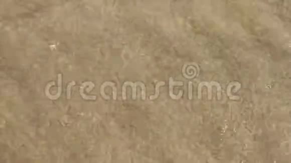 海底的沙质海底视频的预览图