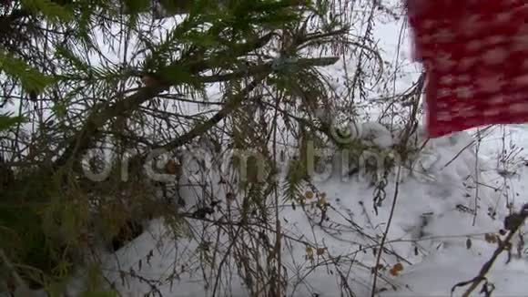 圣诞老人包在圣诞树下放礼物视频的预览图