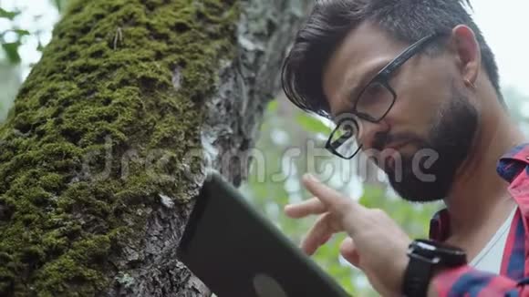 旅行者看着树用厚厚的苔藓触摸树干视频的预览图