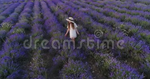 小女孩在薰衣草的田野里摸着薰衣草空中射击视频的预览图