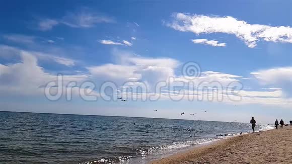 人们在海边海鸥飞过海滩海鸥缓慢地飞过海滩视频的预览图
