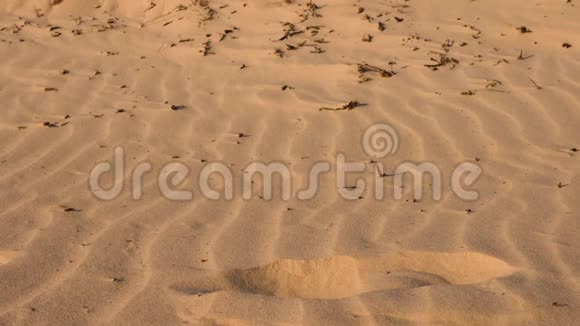 沙漠干沙上的人类足迹接近沙底脚印视频的预览图
