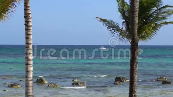 透过椰子树观赏热带海滩游客乘坐伞降船青绿色的水视频的预览图