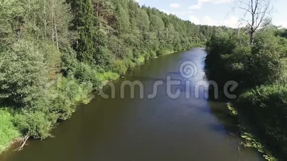 在阳光明媚的夏日在森林中鸟瞰美丽的河流视频的预览图