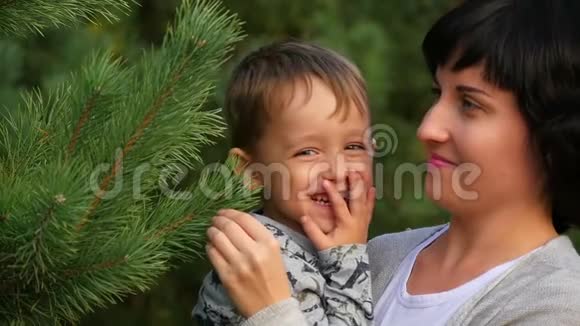 妈妈把她激动的小男孩抱在怀里他们围着圣诞树追着爸爸视频的预览图