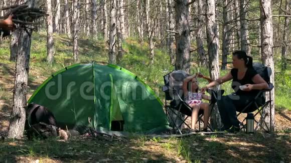 一家人在树林里玩帐篷视频的预览图