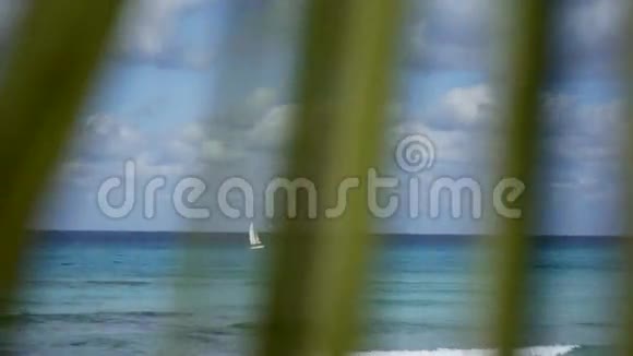 碧海小帆船视频的预览图