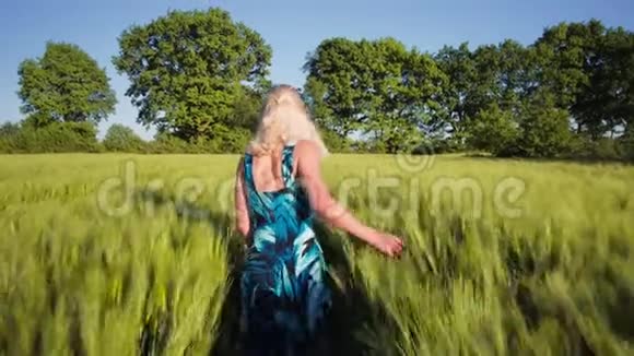 一个年轻的金发女孩穿着蓝色的裙子穿过麦田太阳耀斑从小麦中升起慢动作视频的预览图