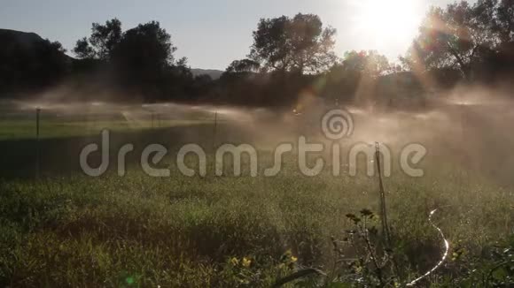 希腊一片田野上的喷水池视频的预览图
