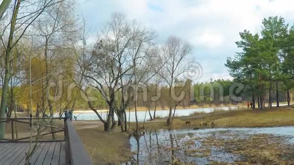 山湖有绿松石水和绿树水中的倒影山峦叠翠的春色美景视频的预览图