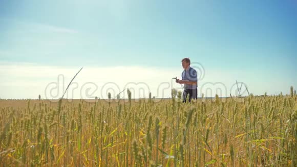 老农人在田间奔跑的农人理念农民手里麦芽农夫走过视频的预览图