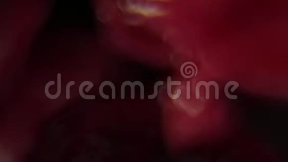 内部器官显示血液和内脏元素的超拍镜头视频的预览图