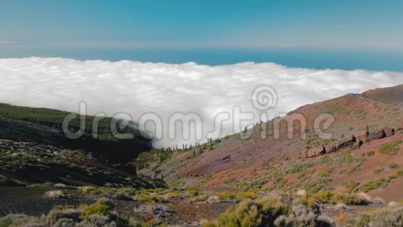 美丽的风景有云海和森林山谷和森林之上的云海景观视频的预览图