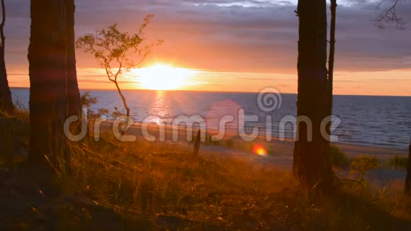 日落日出与完美的镜头耀斑在黄昏的黎明海洋海岸视频的预览图