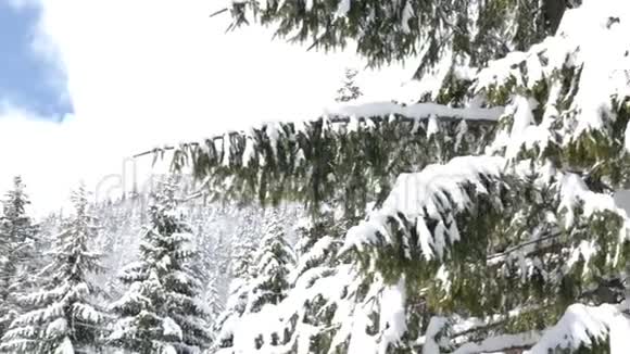 从左到右围绕美丽的冬季景观视频的预览图