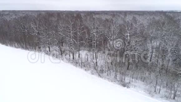 在冬天的森林和田野里的无人机镜头对称射击视频的预览图