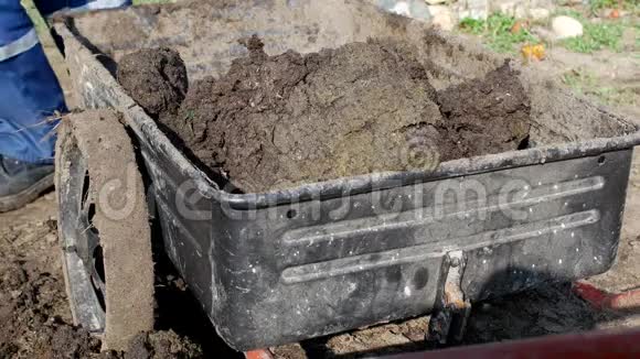一个人用铲子挖粪肥施肥然后把它装进花园里的手推车里在花园里分发视频的预览图