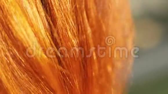 红头发的女人特写肖像年轻女子红发在阳光下闪耀视频的预览图