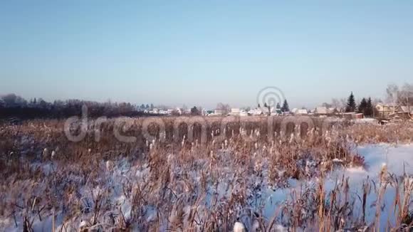4k航空摄影冬季景观以观冻河灌木丛温暖的夕阳视频的预览图