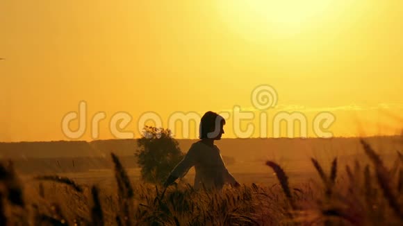 穿着白色连衣裙的女孩站在一片麦田里背景是夕阳无人机在那里飞行视频的预览图