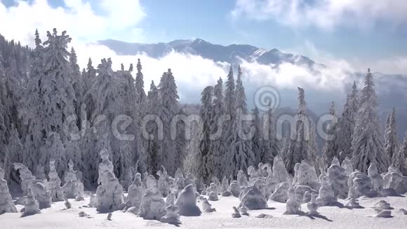 白雪皑皑白云渐渐蓝天冬景全景视频的预览图