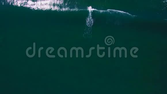 在海洋中排列冲浪者的俯视图视频的预览图