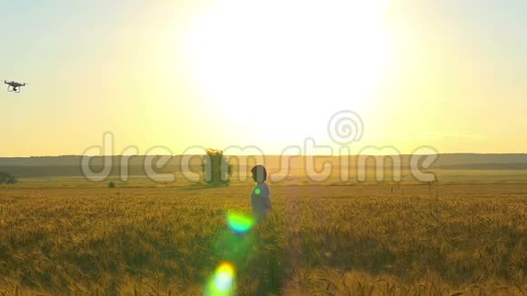 一个穿着白色衣服的年轻女子站在夕阳下的麦田里视频的预览图