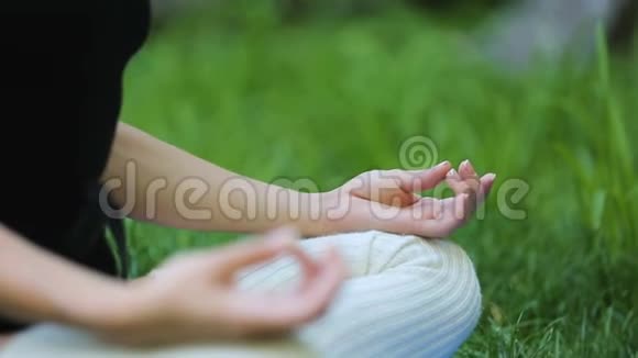 瑜伽女性冥想时在绿草上摆姿势平和专注平衡视频的预览图