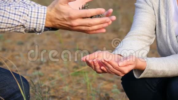 慢动作的情侣男女男人的手把松果递给女人一粒种子视频的预览图