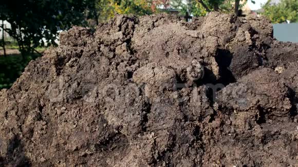 一个男人在种植植物特写铲子粪肥粪肥时挖一铁锹施肥视频的预览图