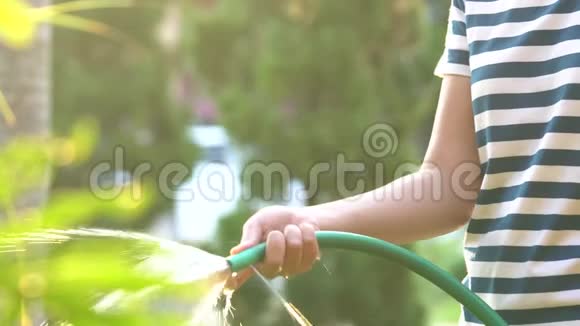 4个3530岁的亚洲女孩用一根直管给晚树浇水关心花园和家里的树木视频的预览图