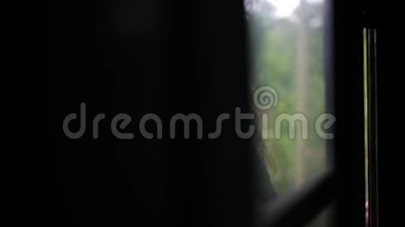 这个女孩正在斯里兰卡乘火车旅行视频的预览图