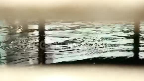 前景中的水栅栏视频的预览图