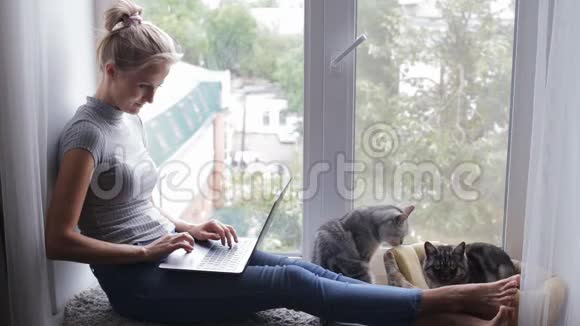 有魅力的女孩用笔记本电脑坐在家里的窗台上和猫在一起视频的预览图