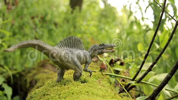 最大的食肉恐龙棘龙儿童玩具视频的预览图