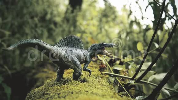 儿童玩具大型食肉恐龙棘龙的生命视频的预览图