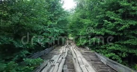 为游客提供野生动物沿山河在树林中飞翔视频的预览图