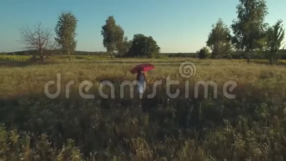 小女孩带着红伞跑过田野视频的预览图