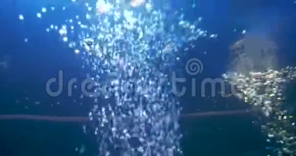 水深蓝方案中气泡上升的模糊背景视频的预览图